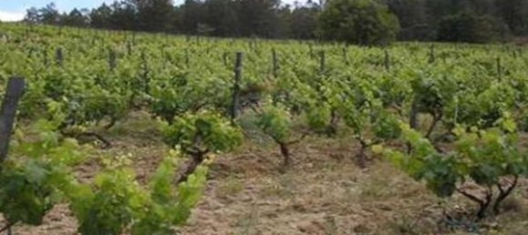 Terrain à Tondela, Portugal 28685m² No. 37340 3