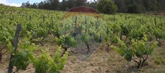 Terrain à Tondela, Portugal 28685m² No. 37340 2