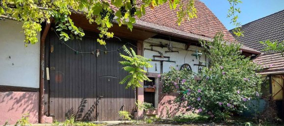 Land in Freiburg im Breisgau, Germany No. 271585 6