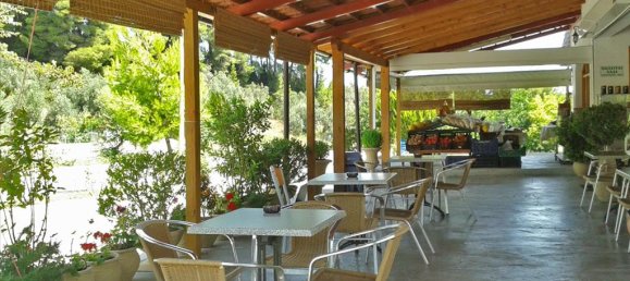 Business for sale in Euboea, Central Greece, Thessaly and Central Greece, Greece № 95251 8