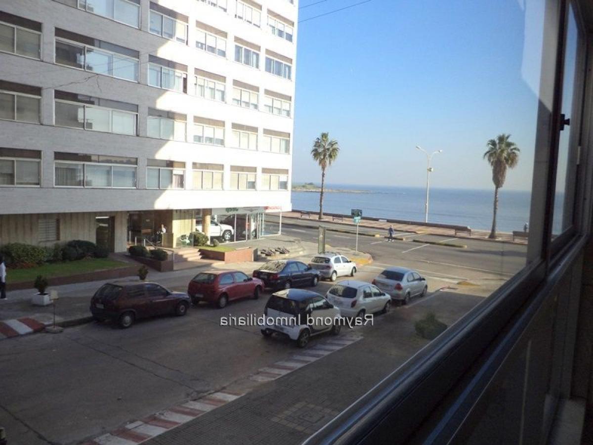4 bedrooms Apartment in Montevideo, Uruguay No. 2460