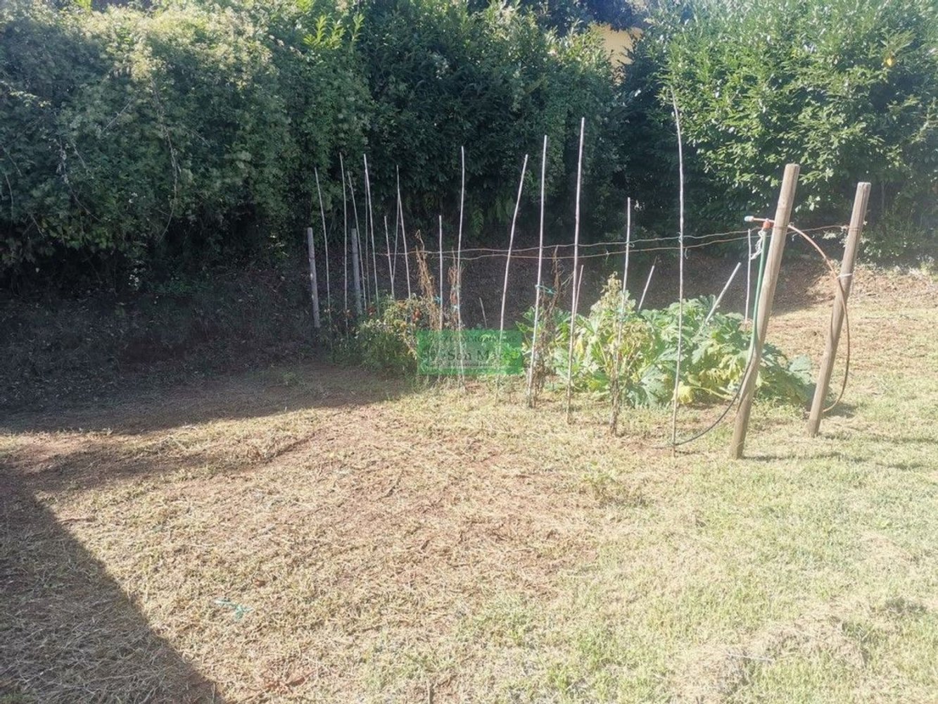 10 rooms House in Lucca, Italy No. 42744