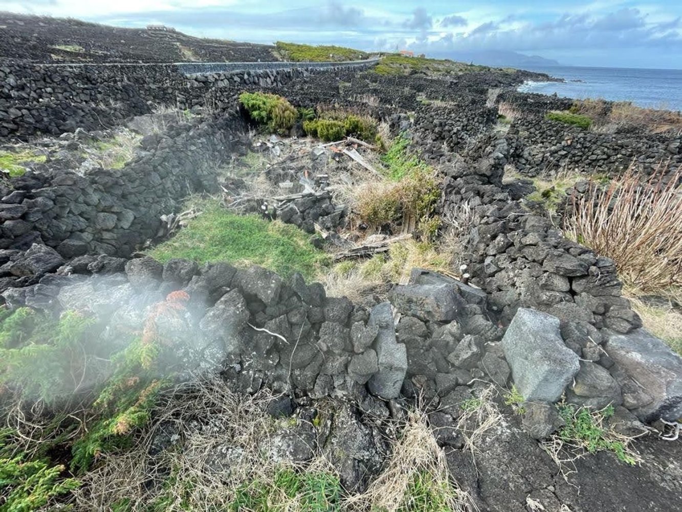 Grundstück in Madalena, Portugal, Nr. 343693