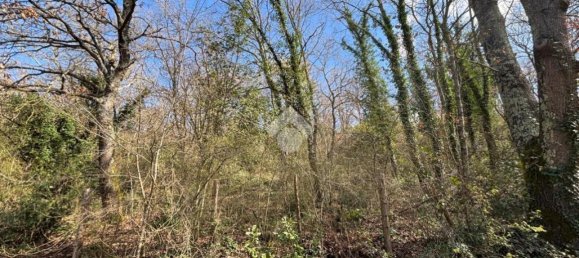 Terreno en Castelnuovo di Porto, Italy 34203 m² No. 234492 10