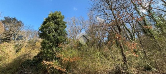 Terreno en Castelnuovo di Porto, Italy 34203 m² No. 234492 12