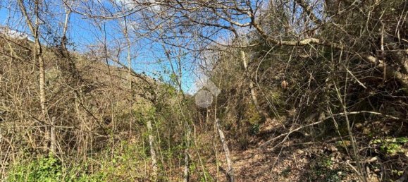 Terreno en Castelnuovo di Porto, Italy 34203 m² No. 234492 11