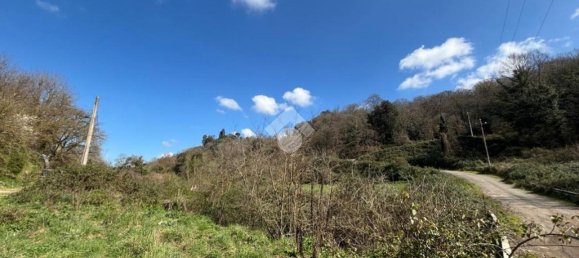 Terreno en Castelnuovo di Porto, Italy 34203 m² No. 234492 8