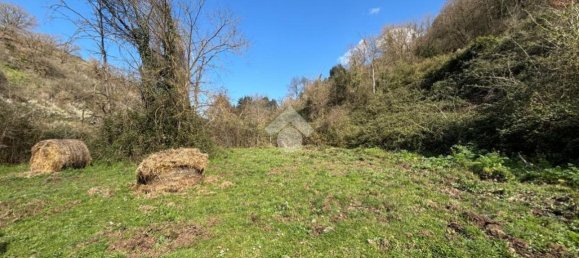 Terreno en Castelnuovo di Porto, Italy 34203 m² No. 234492 3