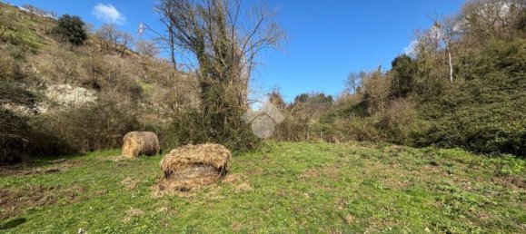 Terreno en Castelnuovo di Porto, Italy 34203 m² No. 234492 2