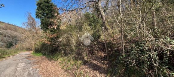 Terreno en Castelnuovo di Porto, Italy 34203 m² No. 234492 16