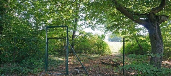 Таунхаус с 5 комнатами в Пенцинг, Австрия № 93865 15