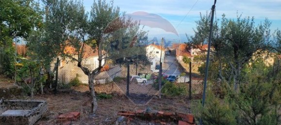 2 bedrooms House in Tondela, Portugal No. 169525 5