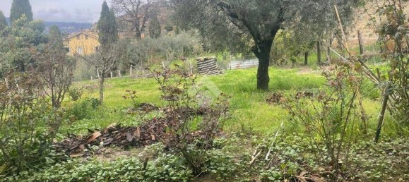 Villa de 3 dormitorios en Olevano Romano, Italy No. 196751 24