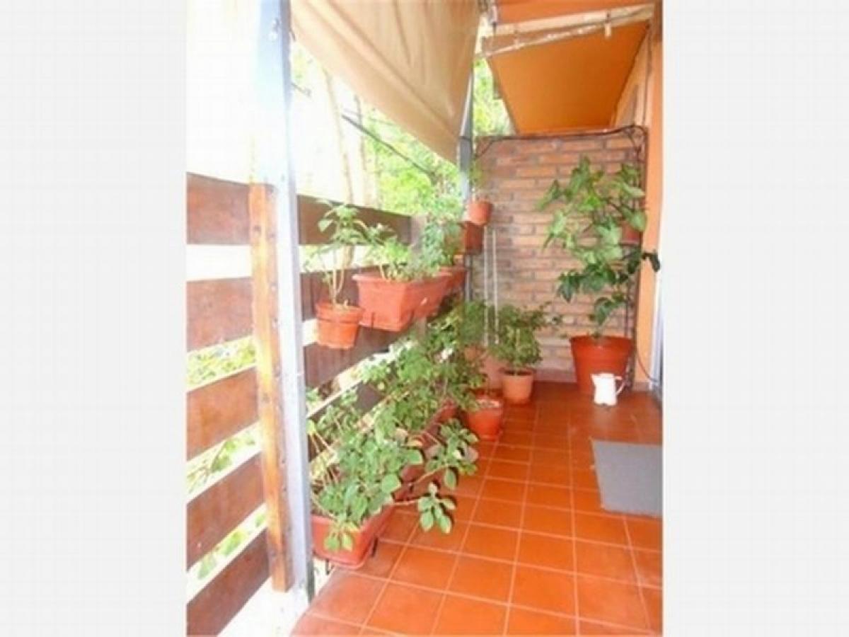 Studio in Buenos Aires, Argentina No. 78124