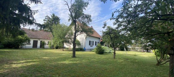 5 rooms House in Marchtrenk, Austria No. 136047 9