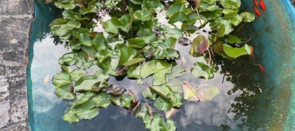 5 rooms House in Marchtrenk, Austria No. 136047 11