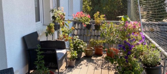 2غرفة شقة في Rhein-Erft, Germany رقم 217950 8