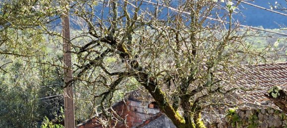 158m² Land in Mira de Aire, Portugal No. 85194 11