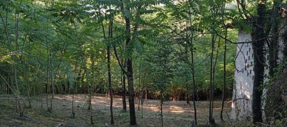 4 غرف نوم منزل في Ripi, Italy رقم 316181 4