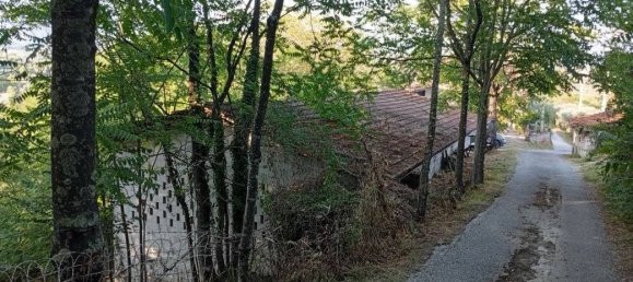 4 غرف نوم منزل في Ripi, Italy رقم 316181 5