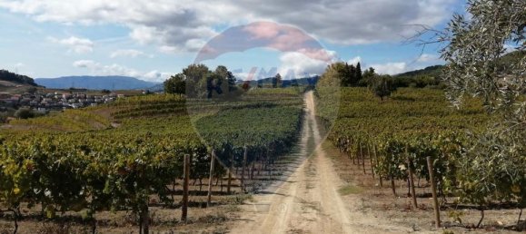 8 bedrooms Castles in Cumieira, Portugal No. 126259 6