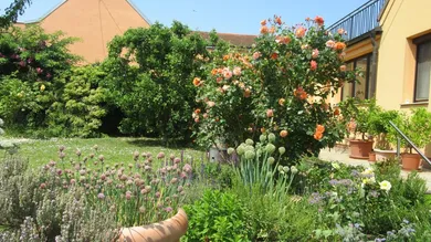 Casa de 3 divisões em Drosing, Austria N.º 205487