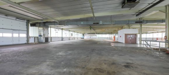 Gewerbliche Immobilie in Enzkreis, Germany 5597m², Nr. 290206 29