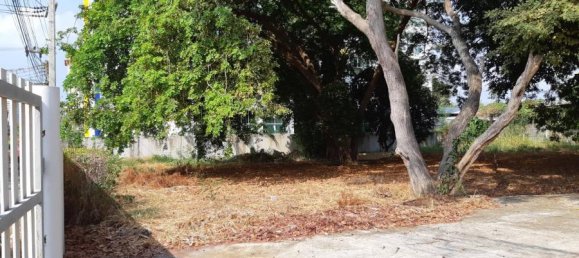  Commercial property in Pattaya, Thailand No. 246 10