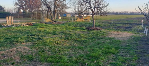 3-Zimmer Haus in Novi di Modena, Italy, Nr. 150989 12