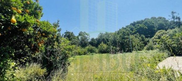 Terreno en Caminha, Portugal 723 m² No. 50659 3