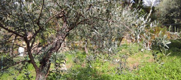 2000m² Land in Poggio Nativo, Italy No. 282082 3