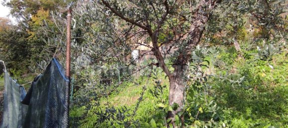 2000m² Land in Poggio Nativo, Italy No. 282082 6