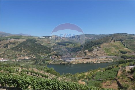 4436m² Land in Penajoia, Portugal No. 92149