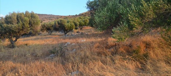  فندق في Agios Nikolaos, Greece 11000متر مربع رقم 6115 6