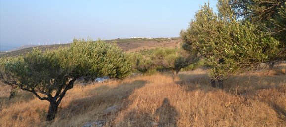  فندق في Agios Nikolaos, Greece 11000متر مربع رقم 6115 3