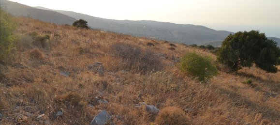  فندق في Agios Nikolaos, Greece 11000متر مربع رقم 6115 4