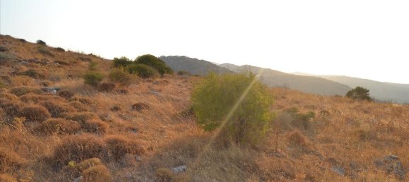  فندق في Agios Nikolaos, Greece 11000متر مربع رقم 6115 5