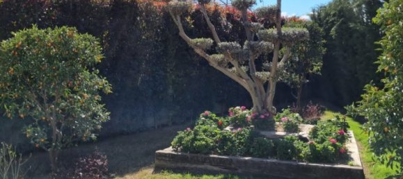 Villa 6+1 in Belek, Turkey No. 16318 6