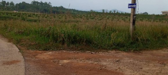 Grundstück in Chumphon, Thailand 7916m², Nr. 75870 4