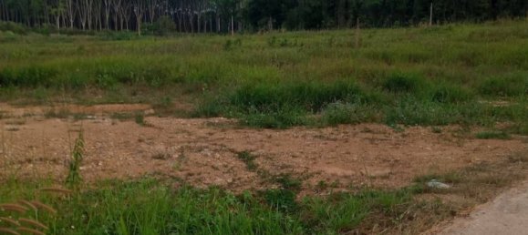 Grundstück in Chumphon, Thailand 7916m², Nr. 75870 7