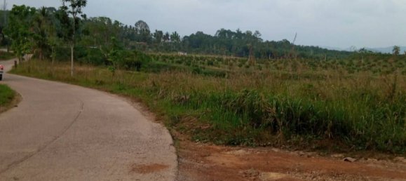 Grundstück in Chumphon, Thailand 7916m², Nr. 75870 3