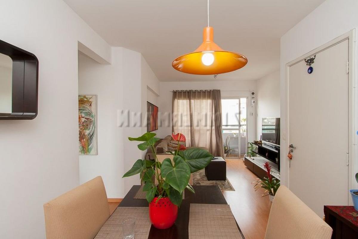 3 bedrooms Apartment in Sao Paulo, Brazil No. 493367