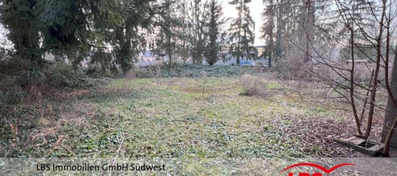 3 bedrooms Commercial property in Bergstrase, Germany No. 126435 8