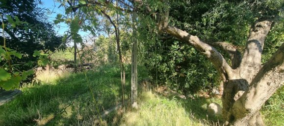 Земельный участок в Гроттаферрата, Италия № 20040 6