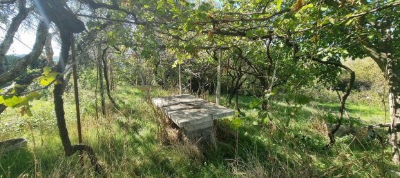 Земельный участок в Гроттаферрата, Италия № 20040 14