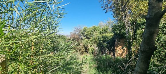 Земельный участок в Гроттаферрата, Италия № 20040 9