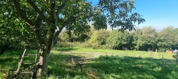 Земельный участок в Гроттаферрата, Италия № 20040 2