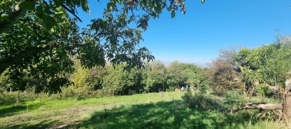 Земельный участок в Гроттаферрата, Италия № 20040 5