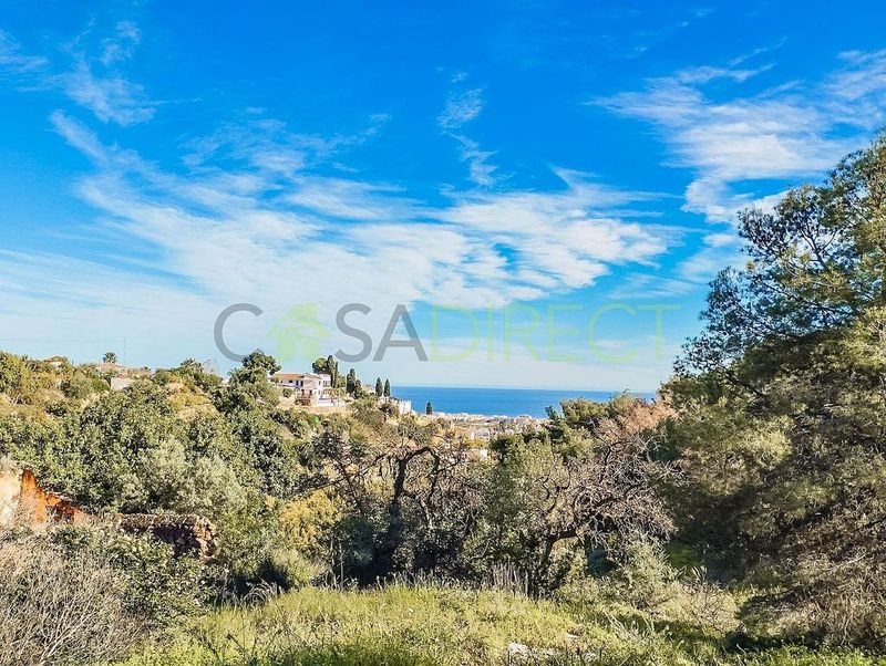 13200m² Land in Frigiliana, Spain No. 226746