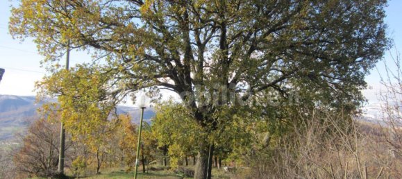 4 bedrooms House in Agnone, Italy No. 342569 4